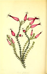 n219_w1150