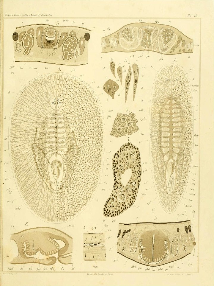 n58_w1150