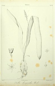 n194_w1150