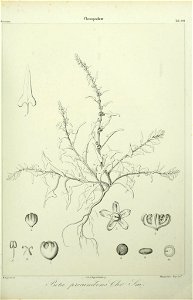 n134_w1150