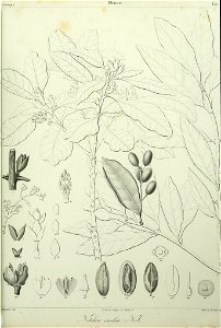 n104_w1150