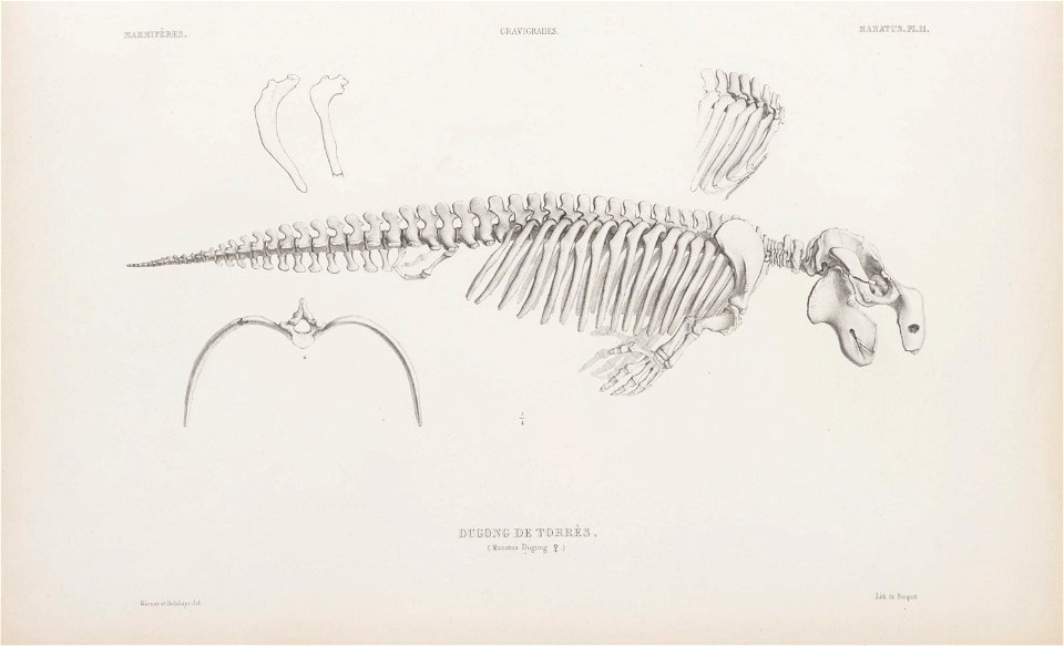 n54_w1150