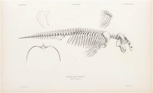 n54_w1150
