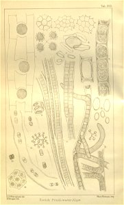 n124_w1150