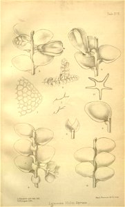 n397_w1150
