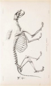 n158_w1150