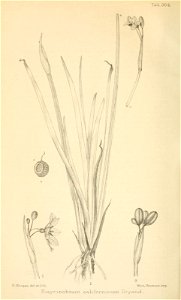 n519_w1150