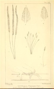 n171_w1150