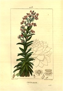 n171_w1150