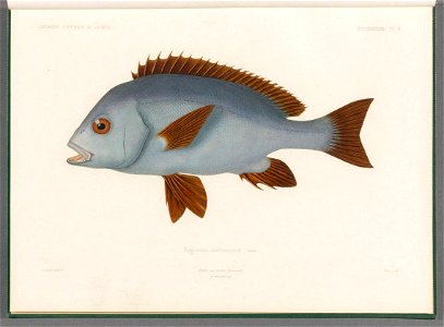 n14_w1150
