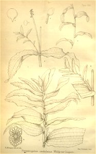 n358_w1150