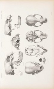 n116_w1150
