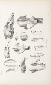 n56_w1150