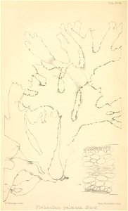 n393_w1150