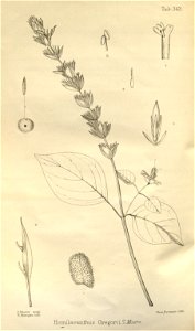 n156_w1150