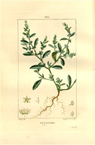 n215_w1150