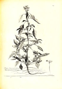 n170_w1150