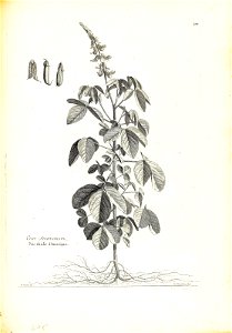 n228_w1150