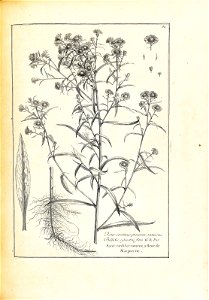 n138_w1150