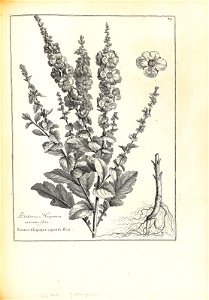 n168_w1150