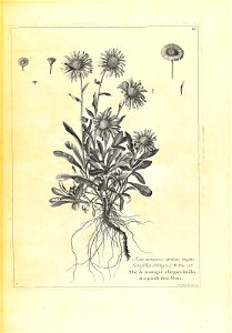 n136_w1150