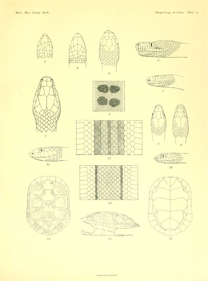 n212_w1150