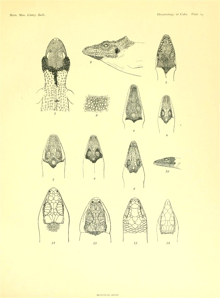 n208_w1150