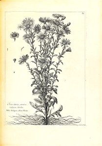n134_w1150