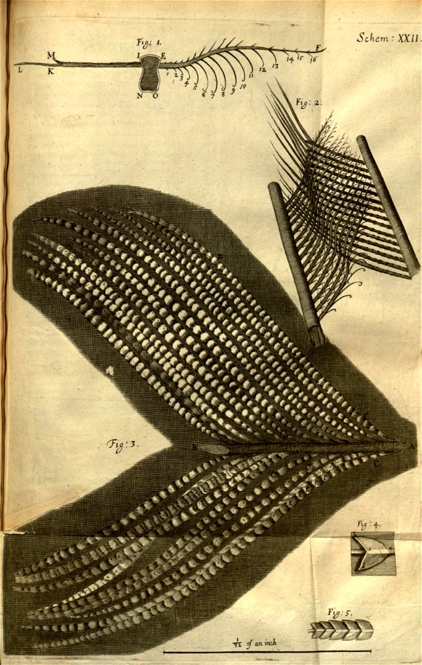 n220_w1150