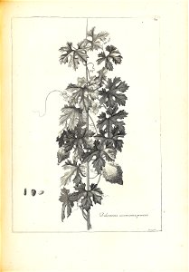 n162_w1150