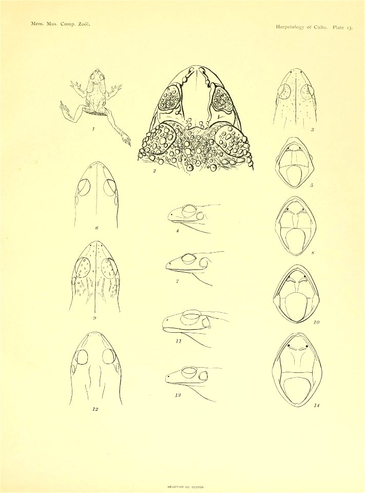 n204_w1150