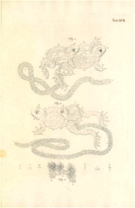 n158_w1150