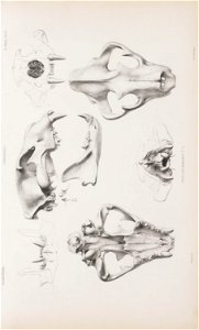 n164_w1150