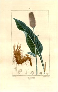 n59_w1150