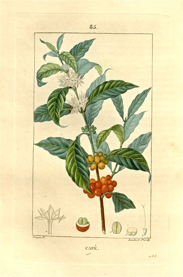 n122_w1150