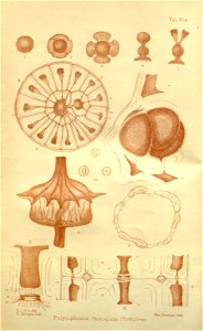 n159_w1150