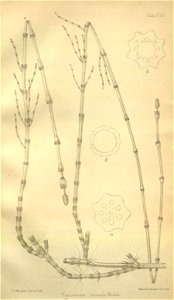 n398_w1150