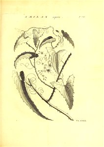 n378_w1150