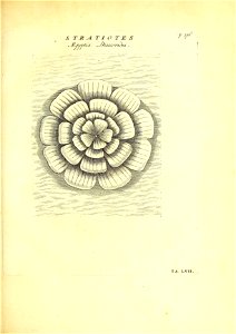 n330_w1150