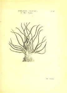 n122_w1150