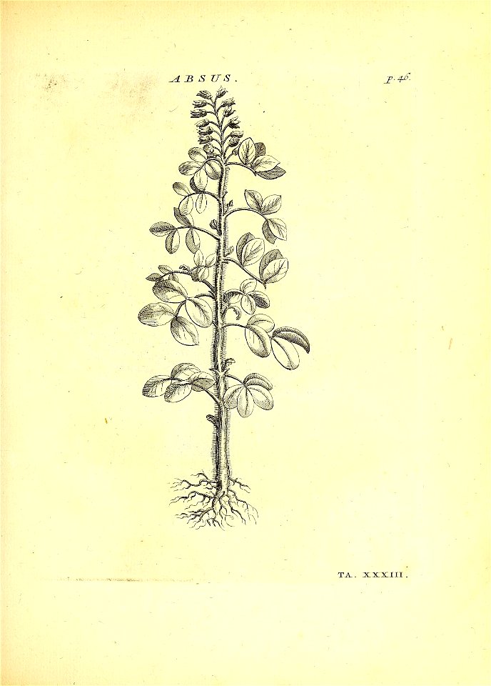 n120_w1150