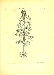n120_w1150