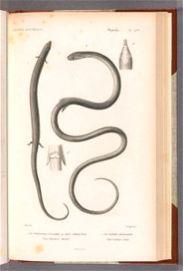 n56_w1150