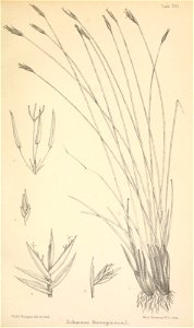 n318_w1150