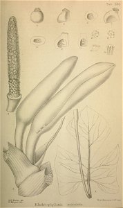 n178_w1150