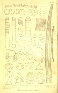 n4_w1150