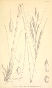 n316_w1150