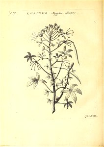 n365_w1150