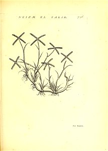 n154_w1150