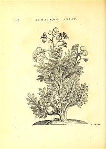n111_w1150